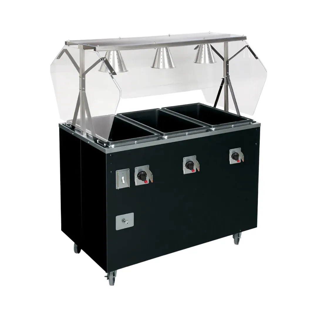 Vollrath T38731A 60" 2-Series Affordable Portable™ (4) Sealed Well Hot Food Station Deluxe