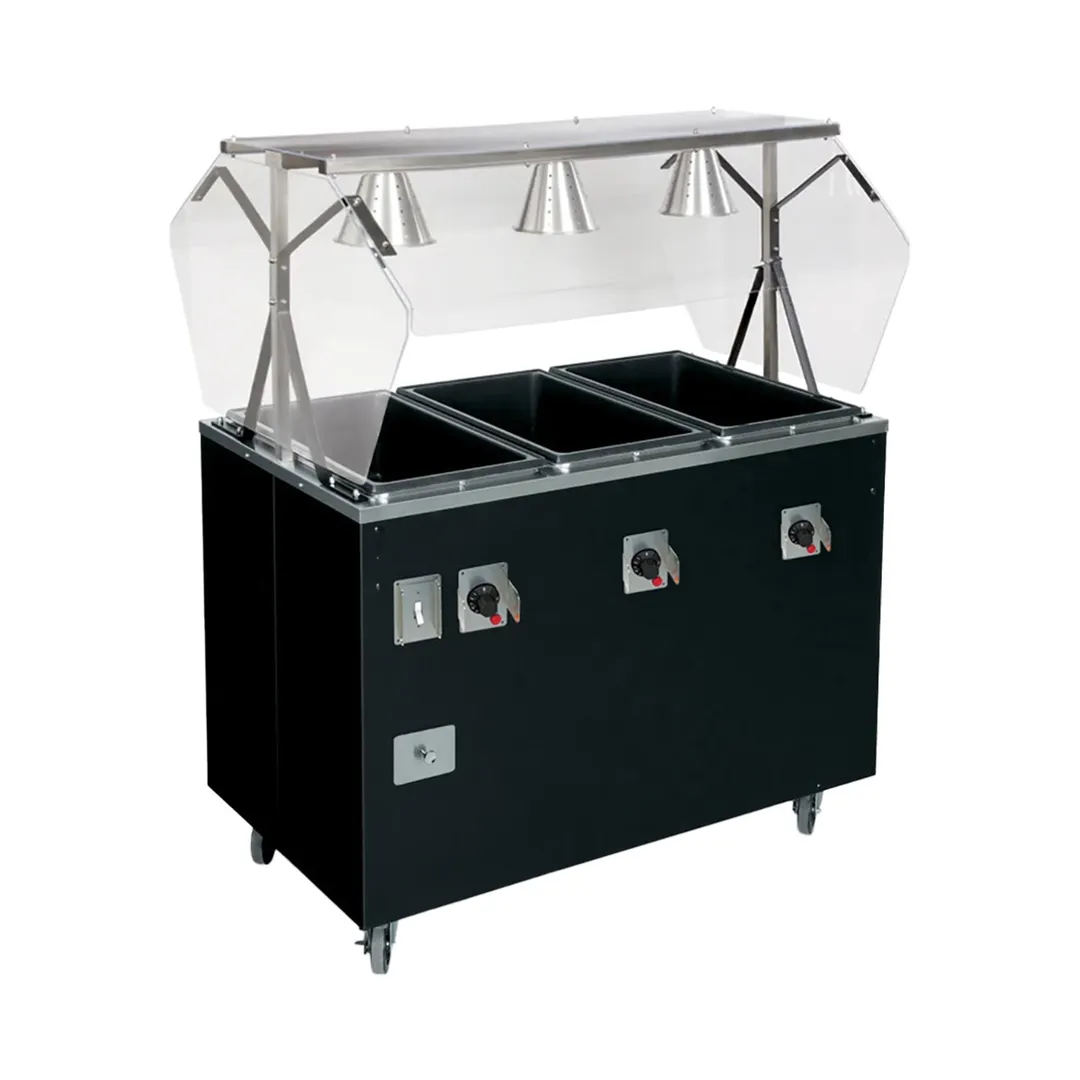 Vollrath T38937464 46" 2-Series Affordable Portable™ (3) Sealed Well Hot Food Station Deluxe