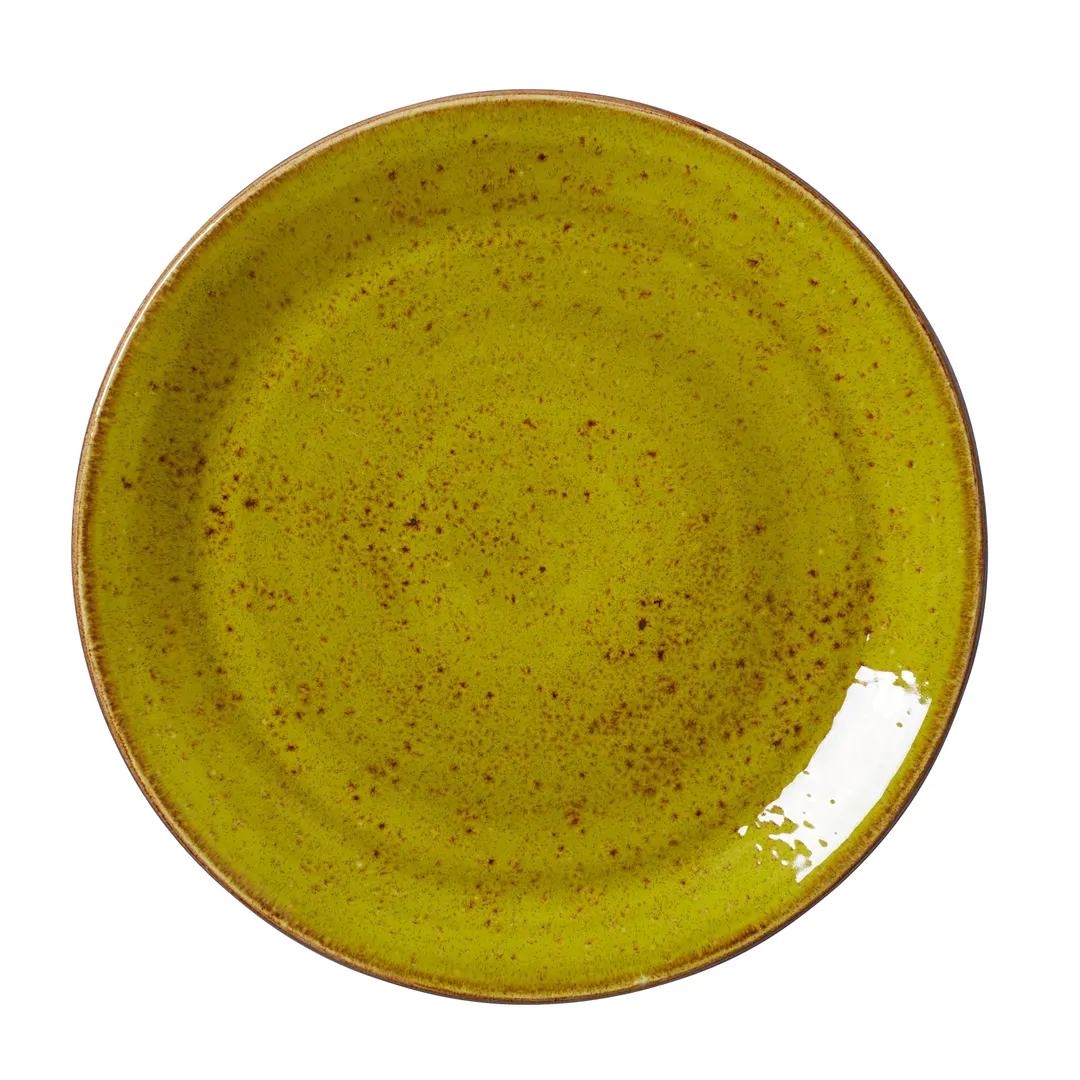 Steelite 12110566 - 10" Apple Round Coupe Rim Plate, Vitrified Ceramic, Oven Safe to 530°F, 1 Dozen
