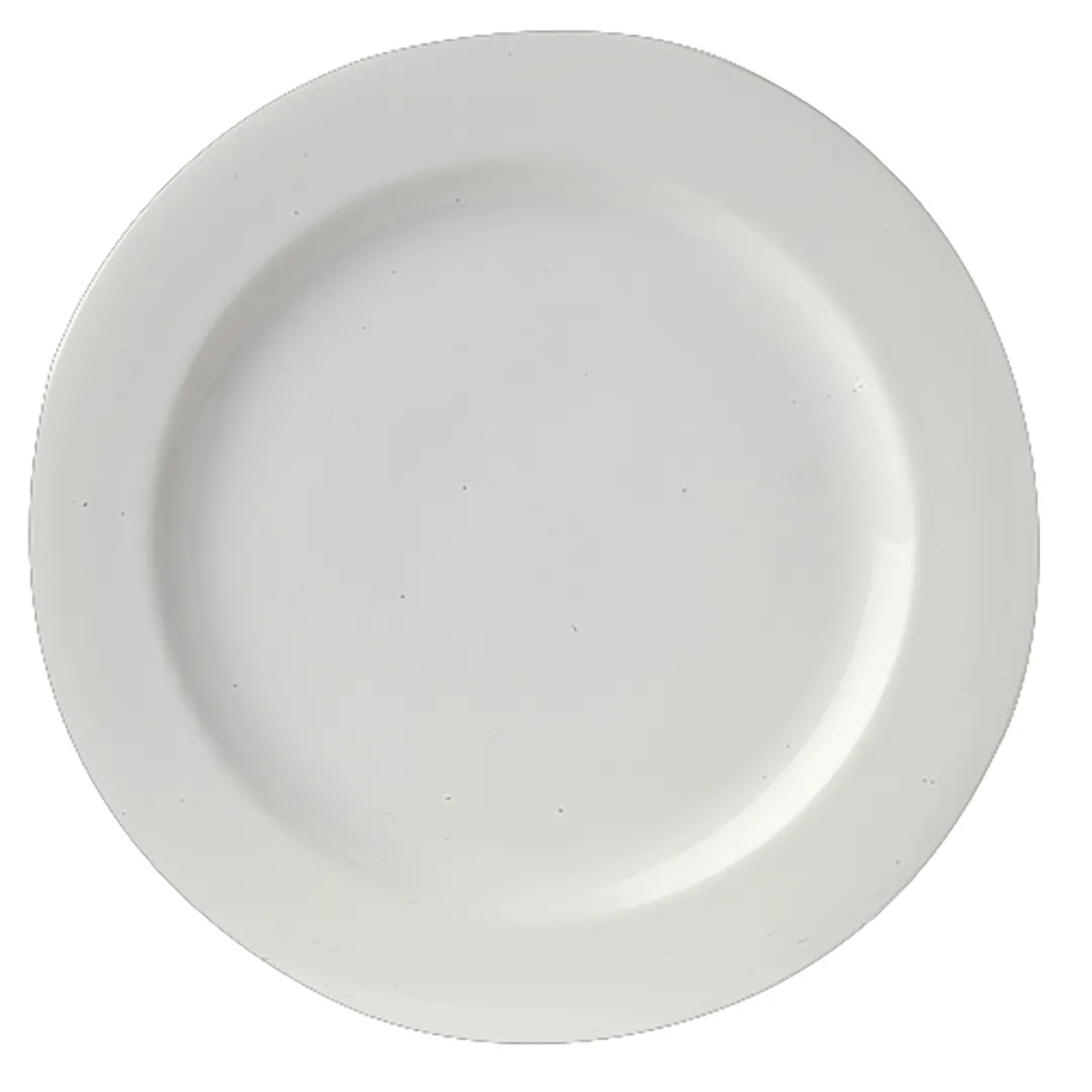 Steelite 61101ST0253 Avalon 10.25" Round Bone China Plate, Wide Rim, Oven Safe to 500°F - 1 Dozen