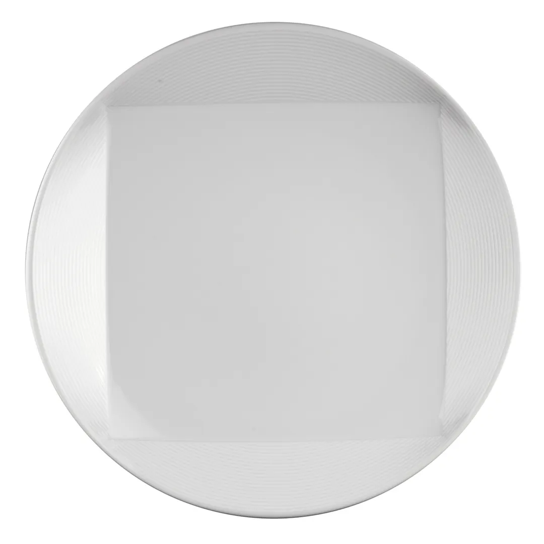 Steelite 61105ST0503 China Plate, 10.25" Round Porcelain Embossed Rim, Oven Safe to 500°F – 1 Dozen
