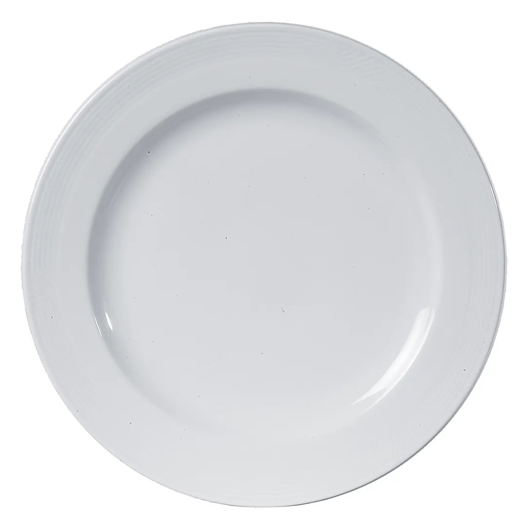 Steelite 61106ST0573 Round China Plate, 10.25", Bone China Wide Rim, Oven Safe to 500°F - 1 Dozen