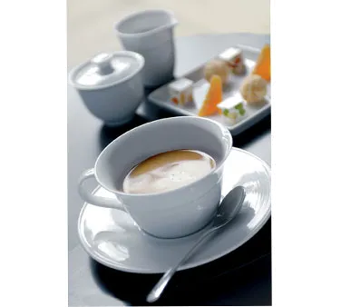Steelite 6300P016 - Round Aura Porcelain Plate, 9.5" Broad Rim, Oven Safe to 465°F/239°C - 24/Case