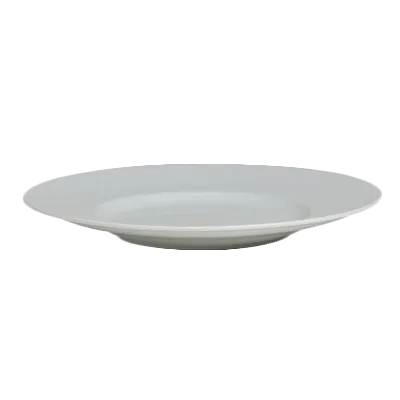 Steelite 6314P1002 Round China Plate, 12" Diameter, Porcelain Wide Rim, Oven Safe To 465°F - 6/Case