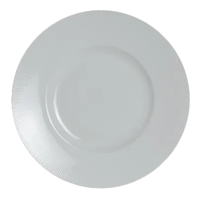Steelite 6314P1002 Round China Plate, 12" Diameter, Porcelain Wide Rim, Oven Safe To 465°F - 6/Case
