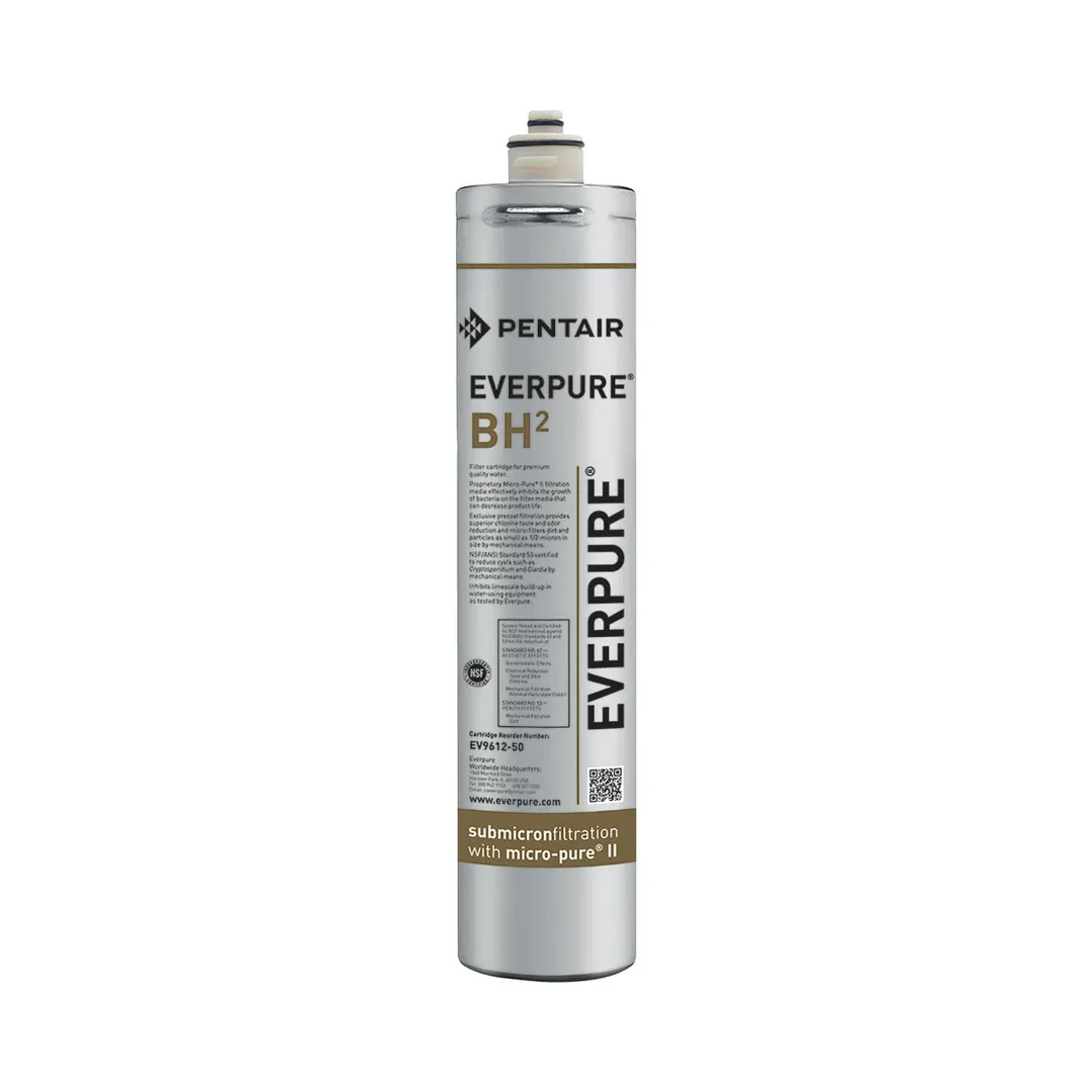 Everpure EV961250 Bh² Water Filter Cartridge with 0.5 Micron and 0.5 GPM, 3,000 Gallons