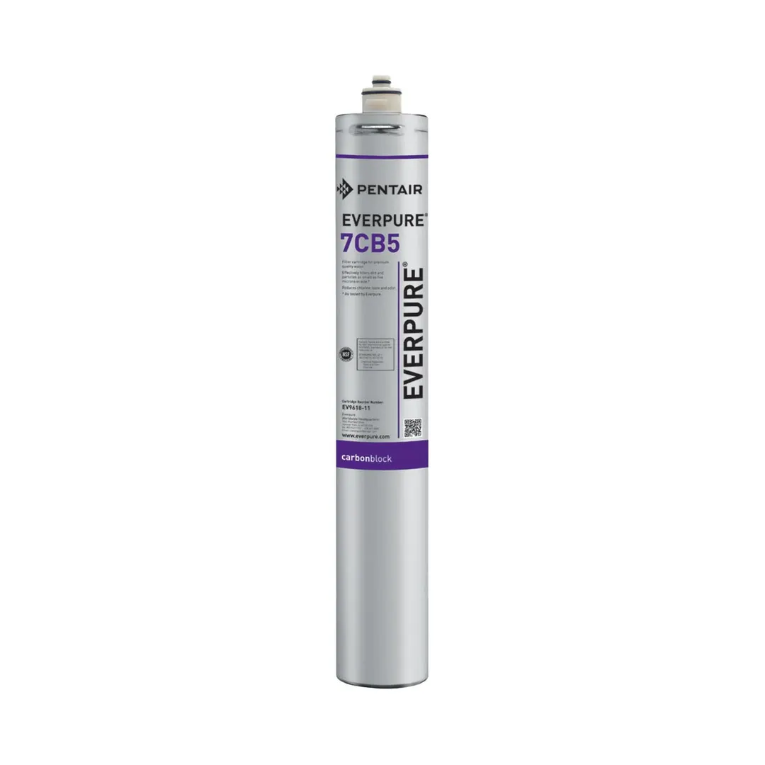 Everpure EV961811 7CB5 Water Filter Cartridge with 5.0 Micron and 2.5 GPM, 10,000 Gallons