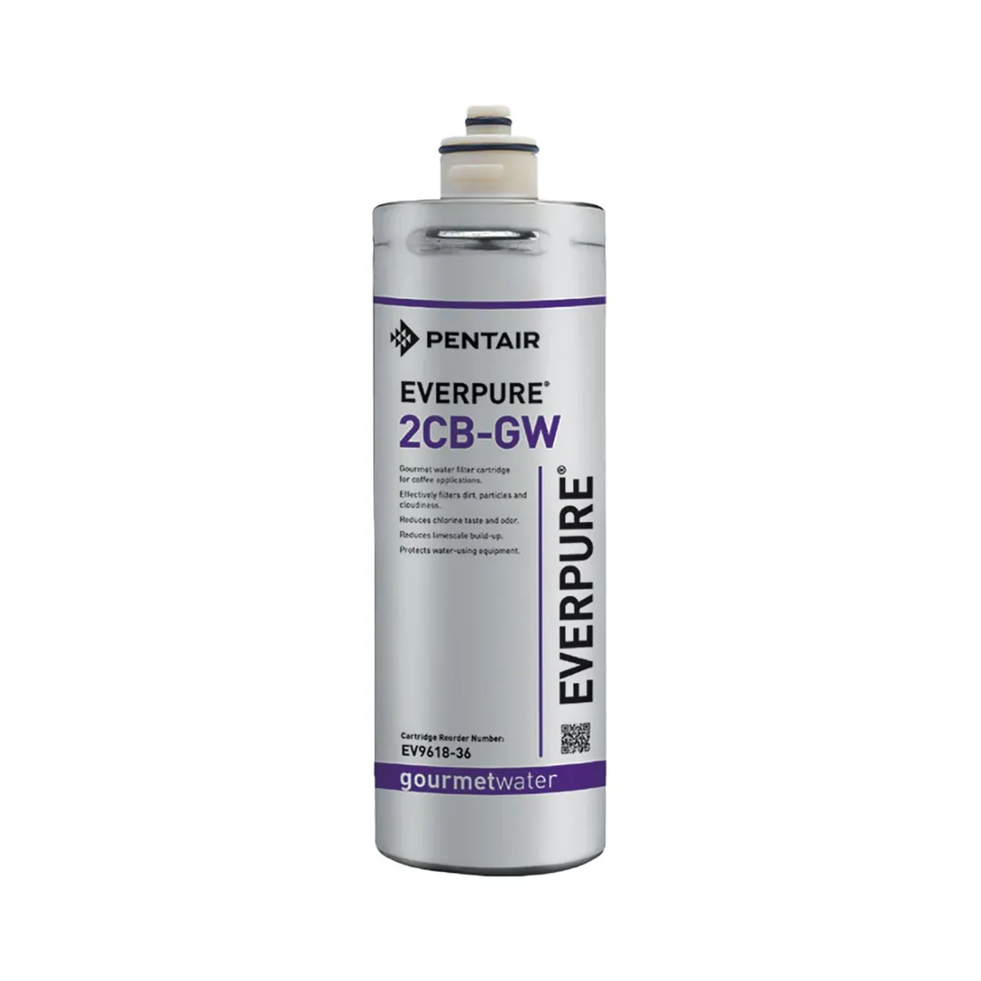 Everpure EV961836 2CB-GW Water Filter Cartridge, (6) 2CB-GW Carbon Block Cartridges, 3,000 Gallons