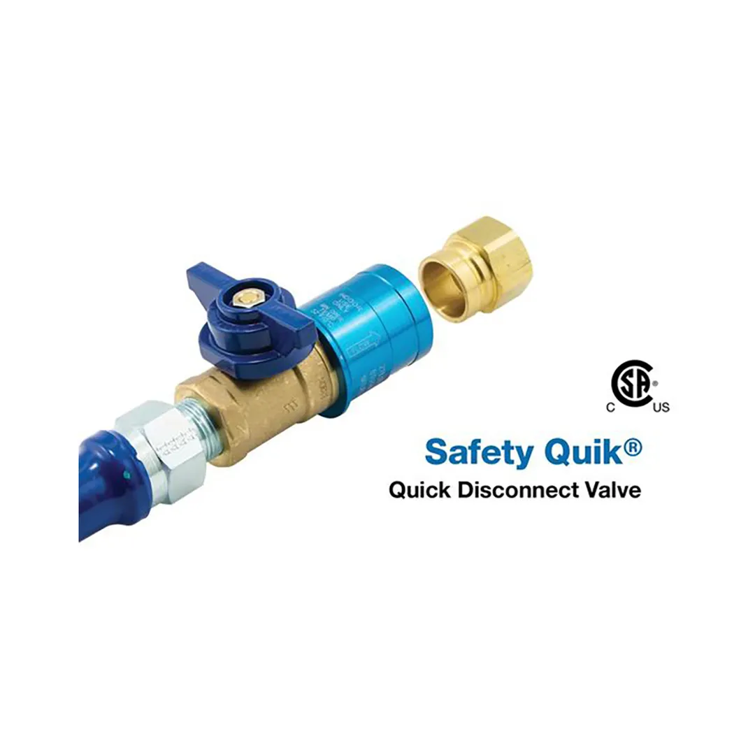 Dormont CF-75R Quick Disconnect Coupler - 3/4" Safety Quik QDV Fitting, Retail Bag Packaging