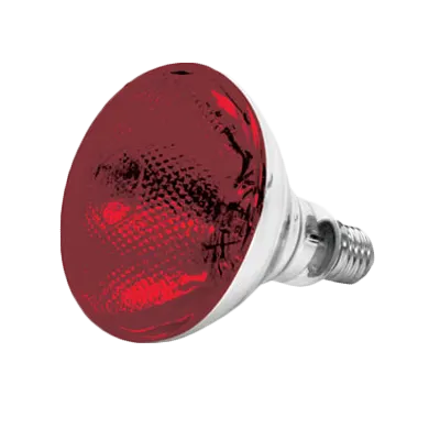 Thunder Group SEJ90001R Heat Lamp Bulb