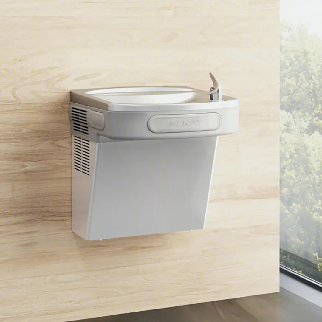 Elkay EZSDS Wall Mount Non-Filtered Drinking Fountain with Extra Deep Basin / Non-Refrigerated