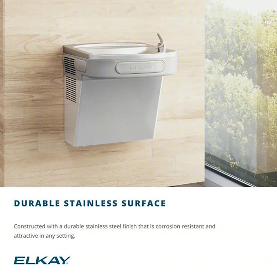 Elkay EZSDS Wall Mount Non-Filtered Drinking Fountain with Extra Deep Basin / Non-Refrigerated