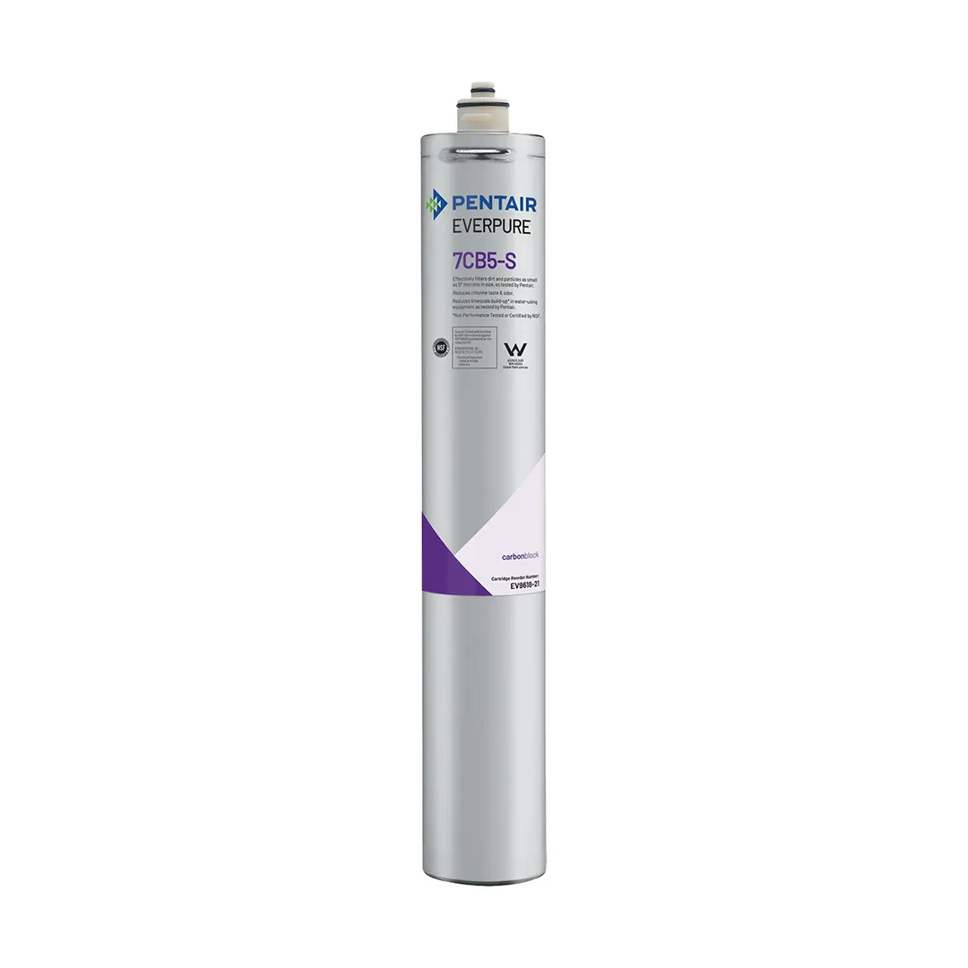 Everpure EV961821 7CB5-S Water Filter Cartridge with 5.0 Micron and 2.5 GPM, 10,000 Gallons