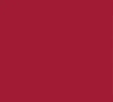 Cambro 1520H221 Camtray Rectangular Serving Tray, 15" x 20", Red Fiberglass, NSF, USA