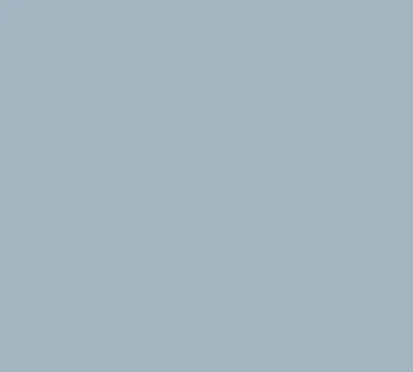 Cambro 46401 Camtray Rectangular Tray, 4-1/4" x 6" Slate Blue Fiberglass, NSF, Dishwasher Safe