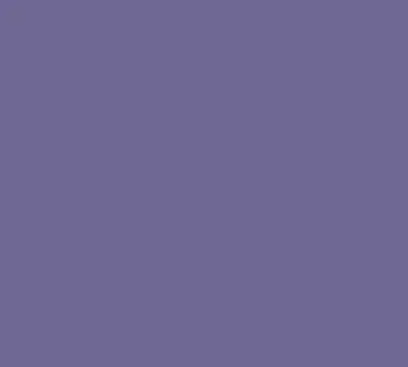 Cambro 46551 Camtray Rectangular Tray, 4¼" x 6" Fiberglass, Purple, NSF, Dishwasher Safe
