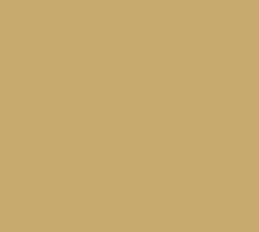 Cambro 57514 Rectangular Tray, 4-15/16" x 6-15/96" Fiberglass, Earthen Gold, NSF, Dishwasher Safe