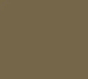 Cambro 900513 Camtray Round 9" Fiberglass Tray, Bay Leaf Brown, Dishwasher Safe, NSF