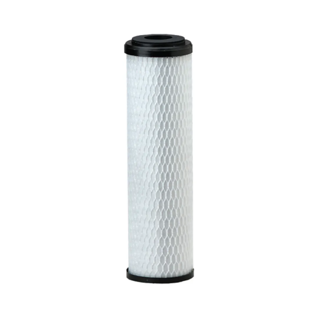 Everpure EV910817 CG5-10S Water Filter Cartridge, (12) CG5-10S 10" Cartridges, 6,000 Gallons