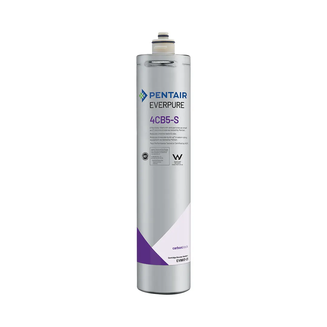 Everpure EV961721 4CB5-S Water Filter Cartridge with 5.0 Micron and 1.67 GPM, 6,000 Gallons