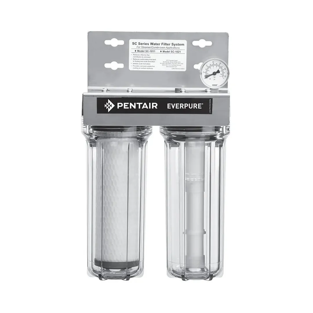 Everpure EV979782 SC10-11 Steam Filtration System with 5 Micron and 6.0 GPM