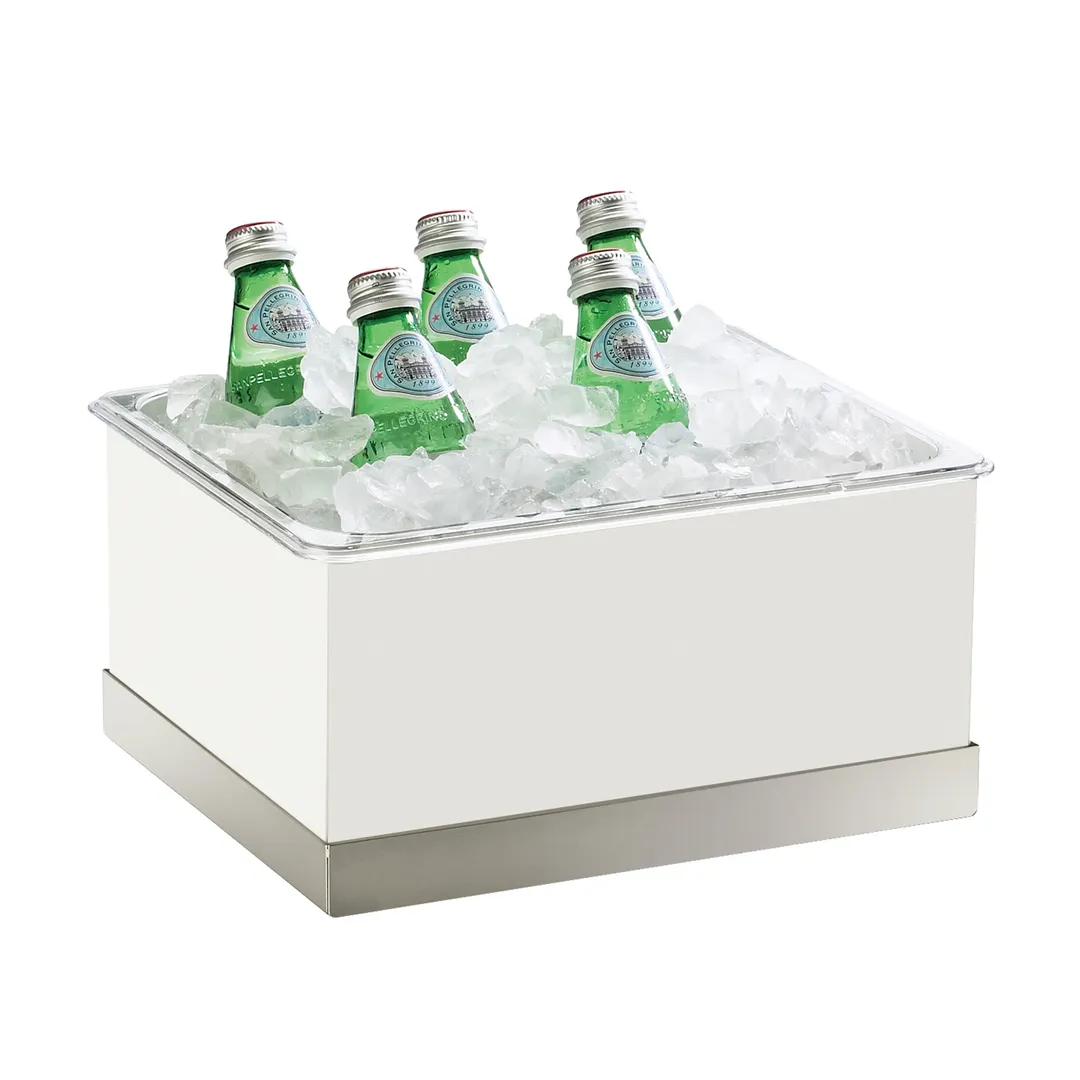 Cal-Mil 3005-10-55 Ice Housing – 10x12-1/4x6-1/2 In, Polycarbonate Bin, Base, Metal Frame, Display