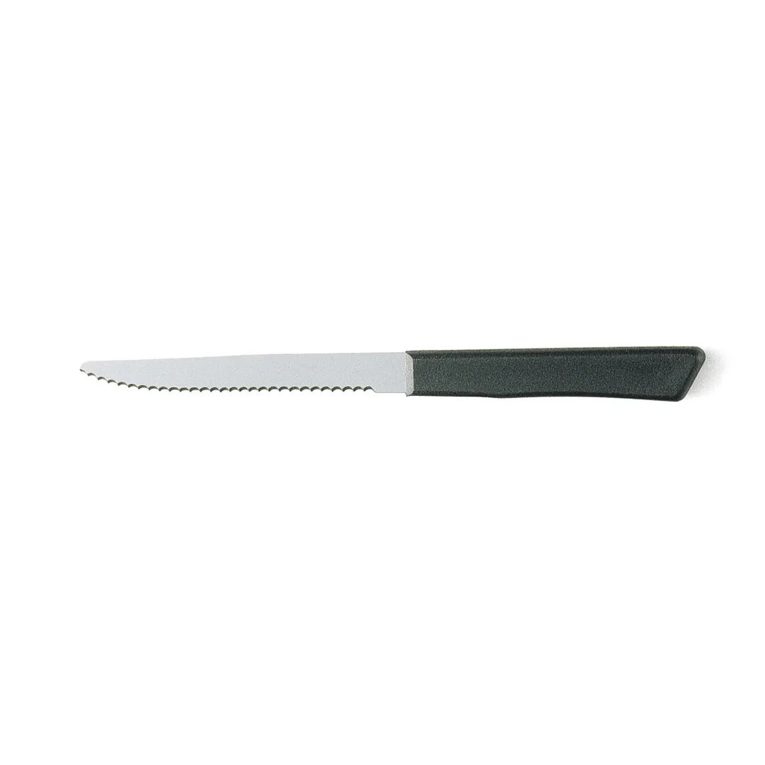 Steelite WL710527 - Steak Knife, 8 7/8" Overall, 4" Stainless Steel Blade, Plastic Handle - 1 Dozen