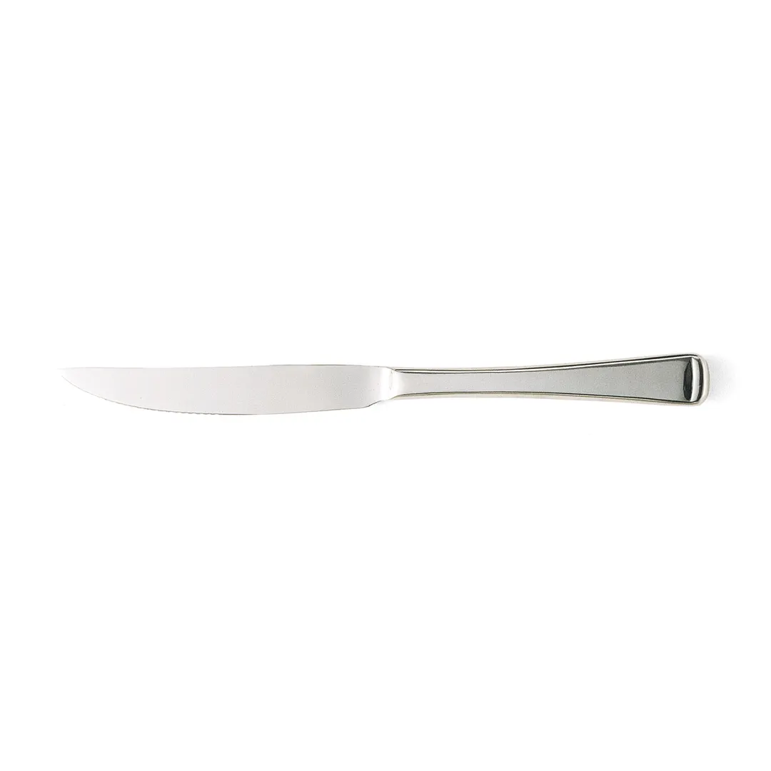 Steelite WL8223 Steak Knife - 9-1/4" Blade, 420 Stainless Steel, Handle, Tip, Finish - 1 Dozen