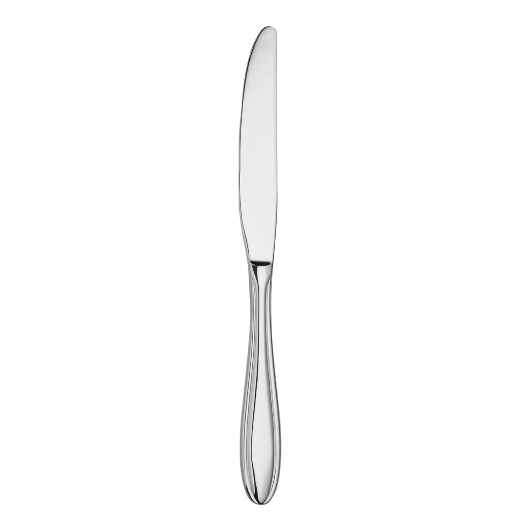 Steelite WLBLW45 Dinner Knife – 9½" Blade, Handles, 18/10 Stainless Steel Antimicrobial – 1 Dozen