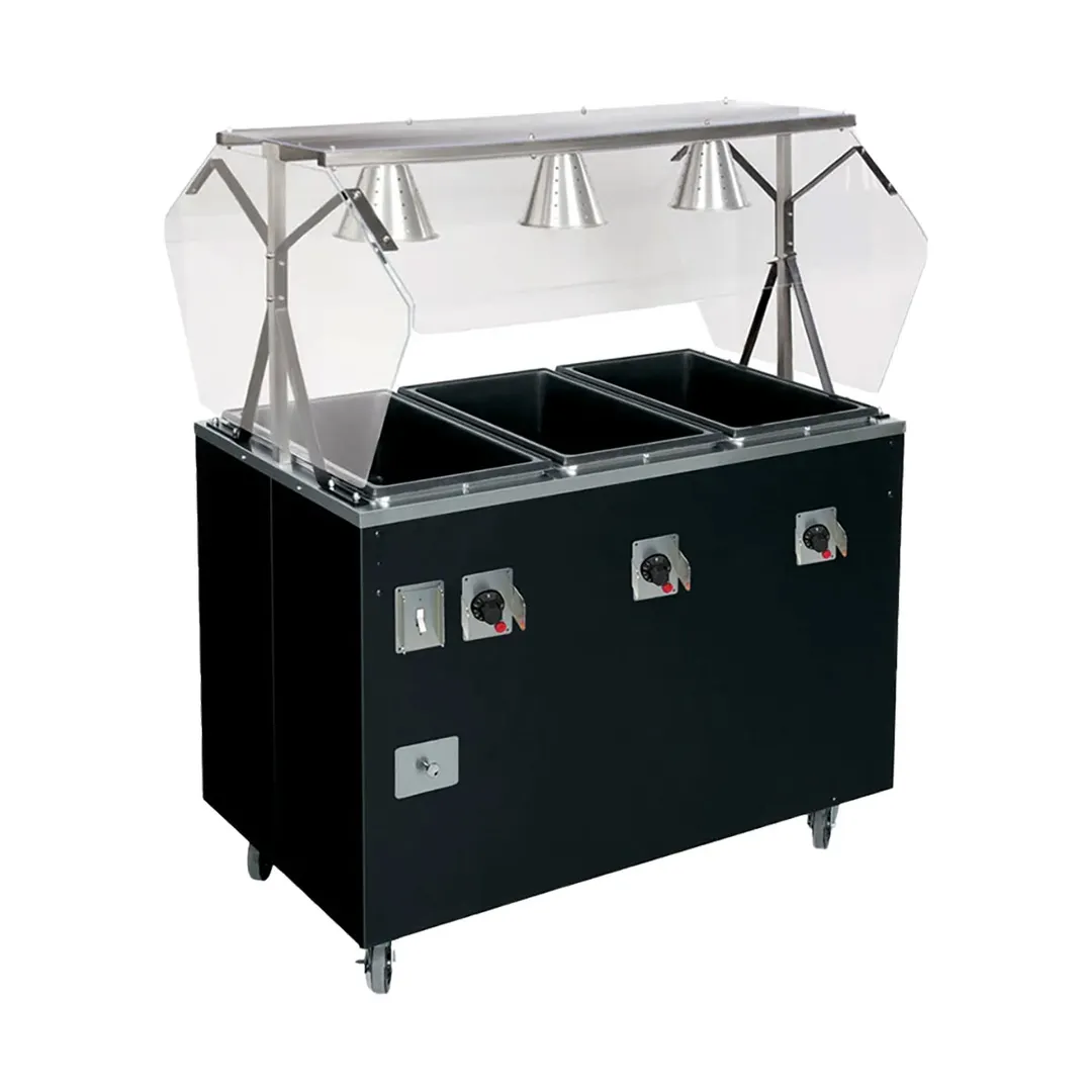 Vollrath T3871060 60" 2-Series Affordable Portable™ (4) Sealed Well Hot Food Station Deluxe