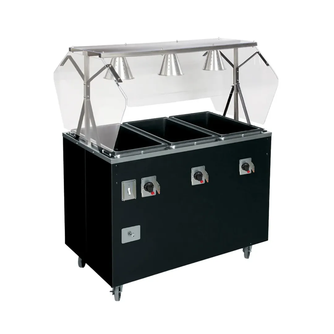 Vollrath T3873160A 60" 2-Series Affordable Portable™ (4) Sealed Well Hot Food Station Deluxe
