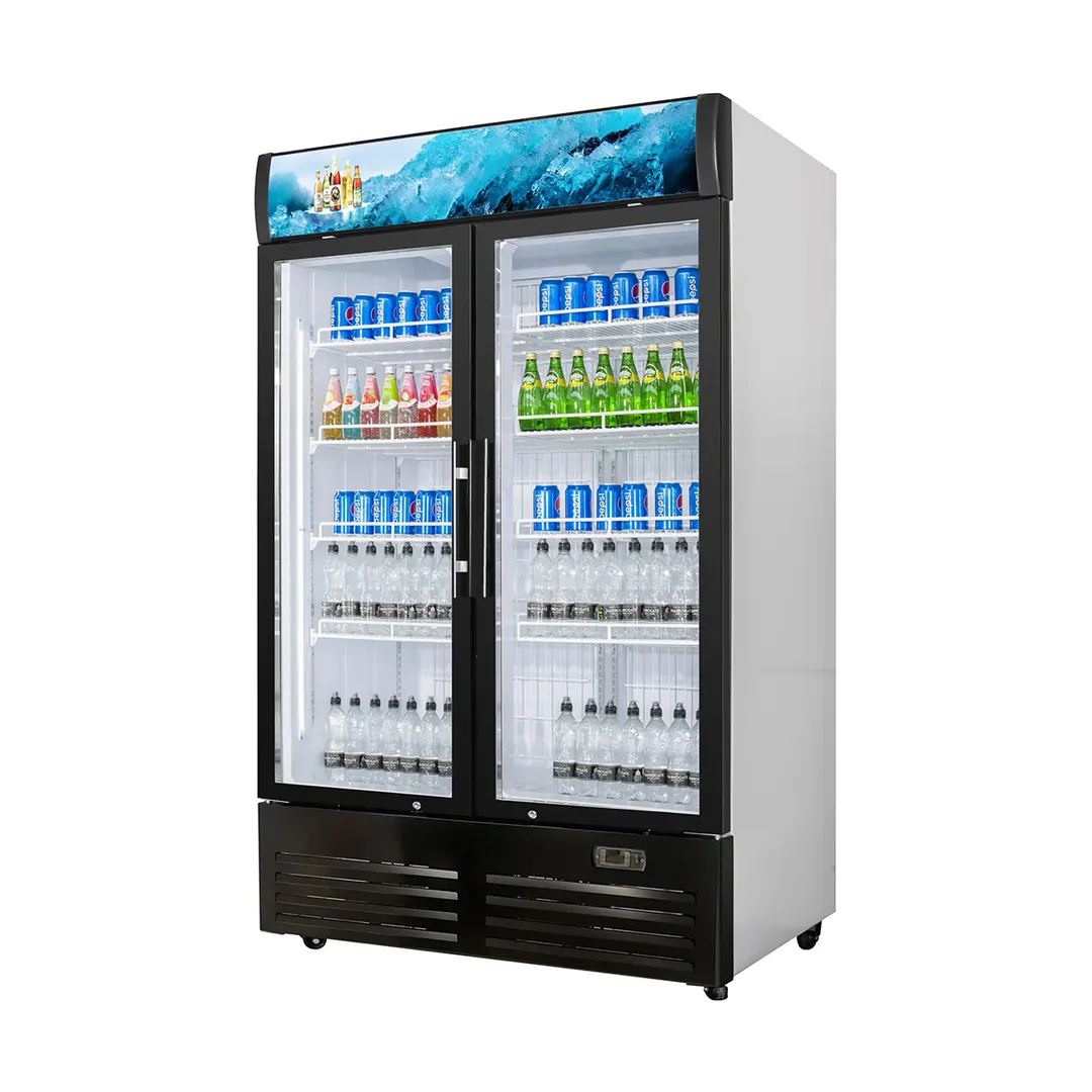 Vitlife Commercial VSC1088VCW 52" 2 Glass Door Merchandiser Refrigerator w/ Canopy, 35.3 cu. ft.