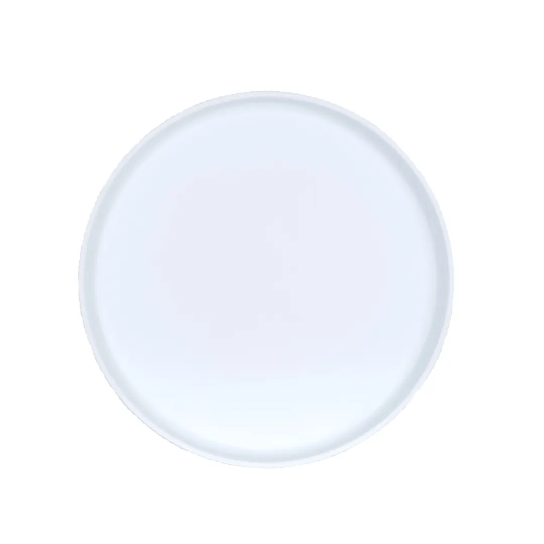 Cal-Mil 26107-10-15 Arista Reusable Melamine Plate, 10" Round, Raised Rim, Matte White, 10" Diameter