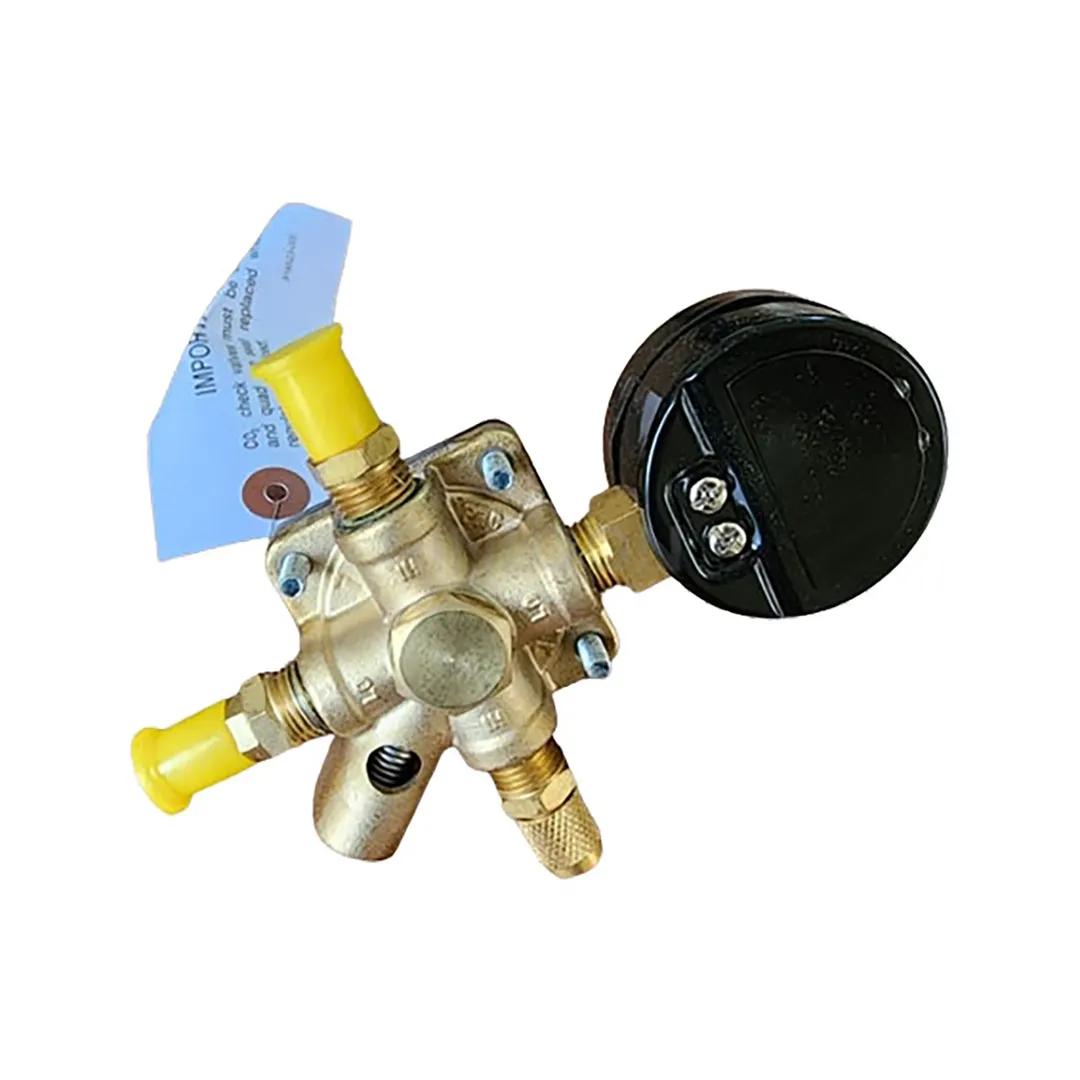 Cornelius 283012111 Pressure Regulator