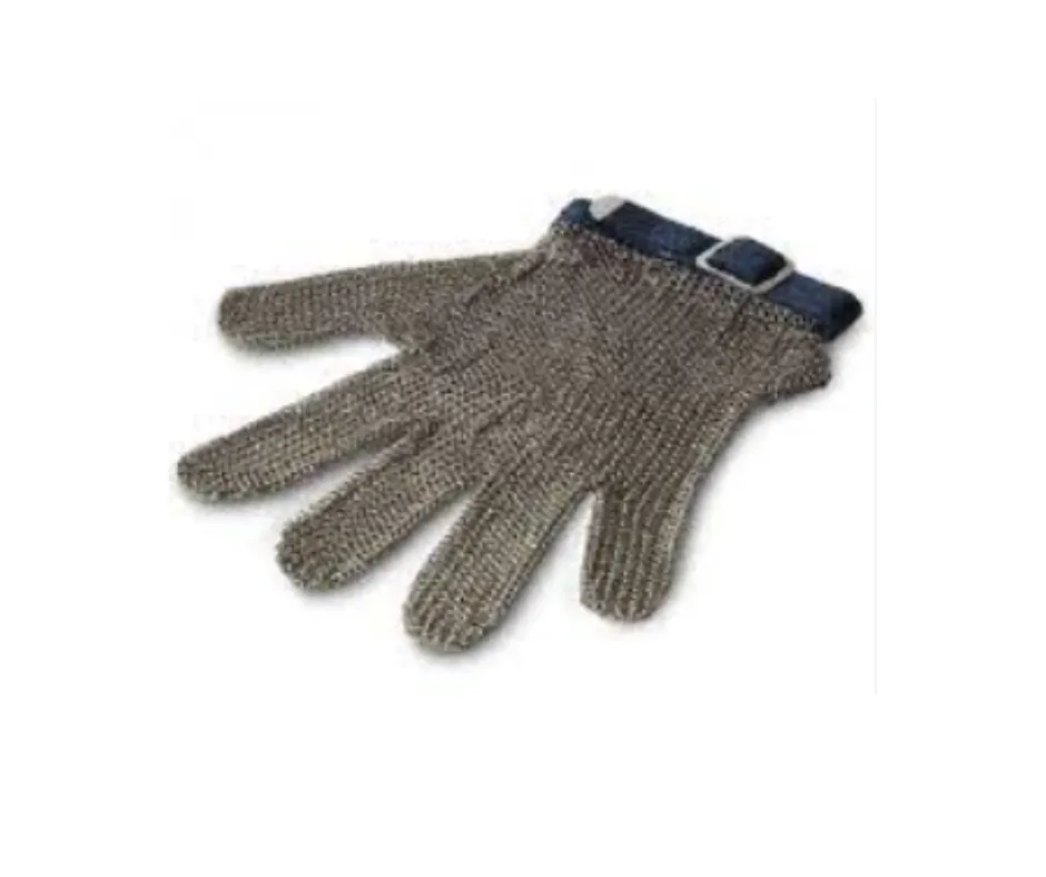 Concasse MCGACAIGDEE General Purpose Gloves, Large Size, Stainless Steel Economic Model
