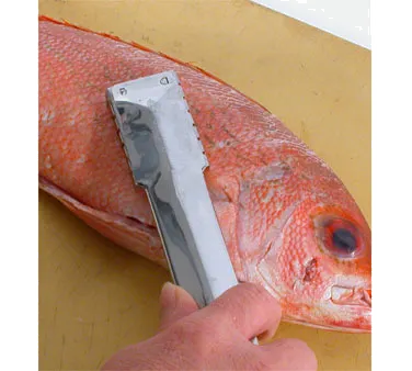 Town 48607/DZ Manual Fish Scaler, 9" Long, Stainless Steel, Sold per 1 Dozen