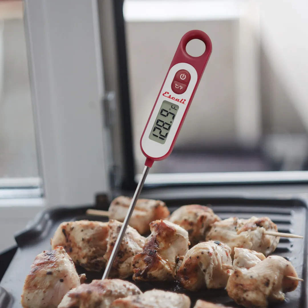 Carlisle THDGLSRD Digital Pocket Thermometer, 5.6" Probe, -58°F to 572°F, Stainless Steel, Red