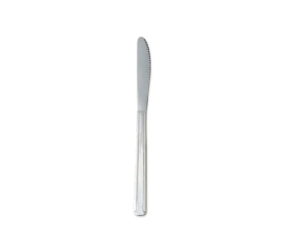 Concasse MCCDCUM18 Dominion Table Knife, Stainless Steel Solid Handle, 8" Blade - 1 Dozen