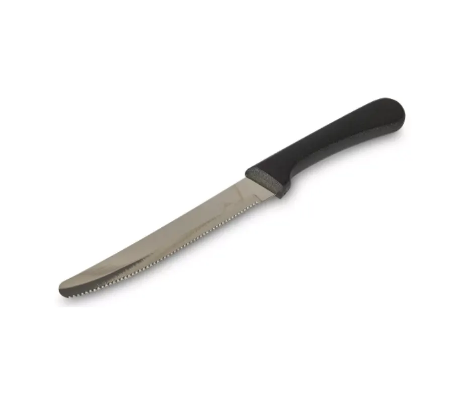 Concasse MCCMP04RSB Steak Knife, 4" Blade, Plastic Handle, Stainless Steel
