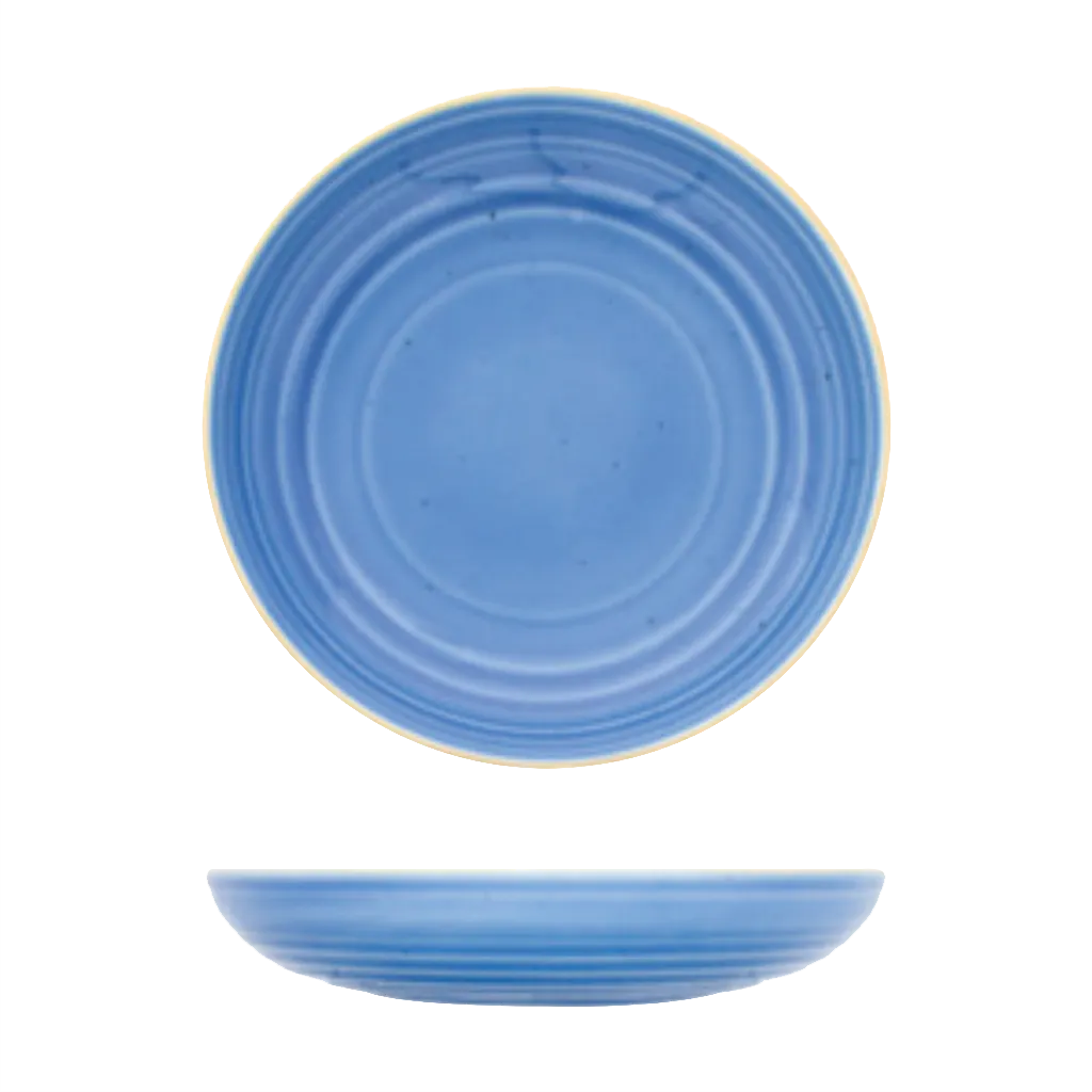 Ariane Porcelain AARARN043022025 Bowl, 9" Deep, Ocean Color, Porcelain - 6/Case