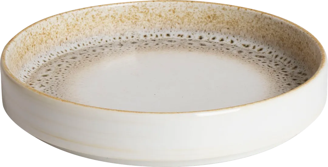 Ariane Porcelain ASEARND51A11025 9.1" Round China Plate, Jaguar, 25 cm, 4/Case