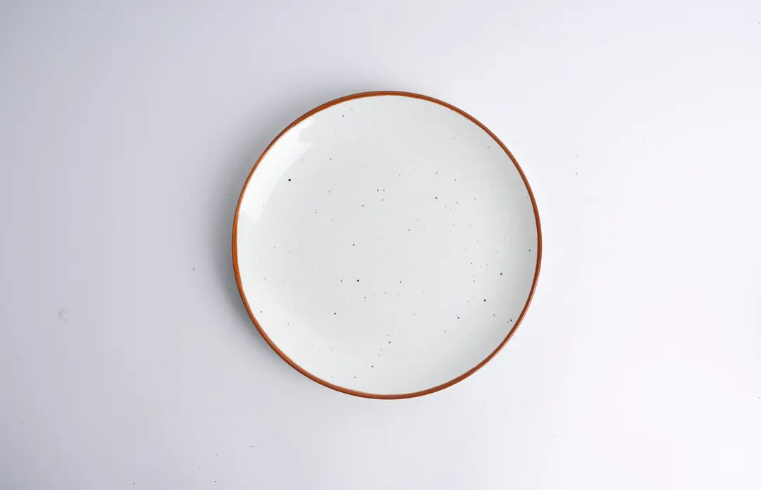 Ariane Porcelain AVCARN205011021 Coupe Round Rimless Plate, 8 1/4" Terra Arena Porcelain – 12/Case
