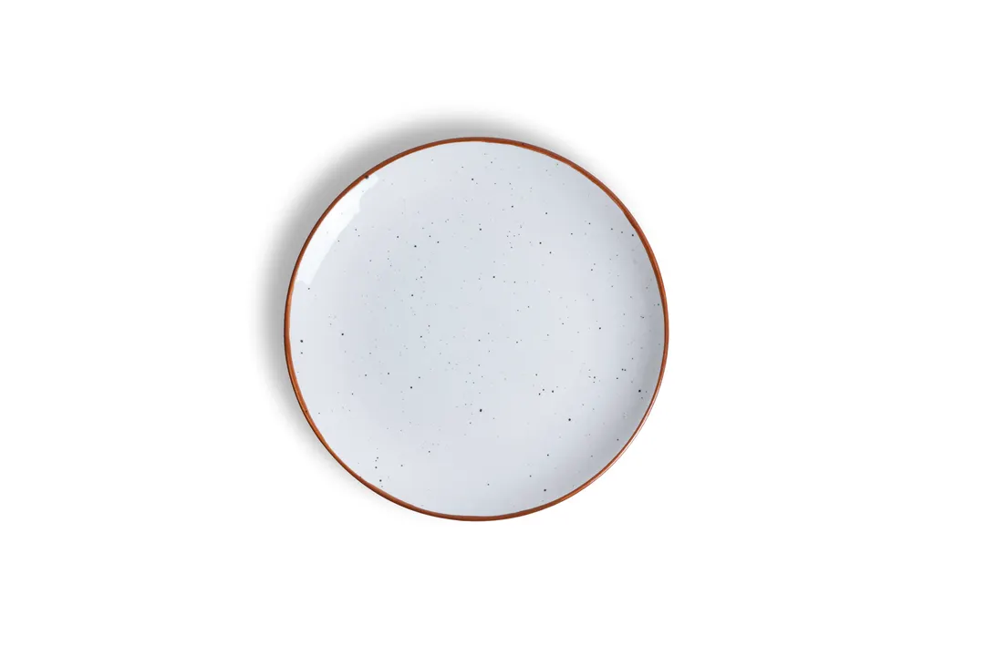 Ariane Porcelain AVCARN205011024 Terra Arena 9-4/9" Round Rimless Porcelain Plate – 6/Case