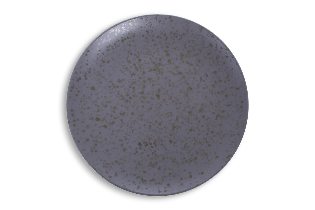 Ariane Porcelain AVCARNA68011029 11-3/7" Round Rimless Porcelain Plate, Oxide Fly Ash - 6/Case