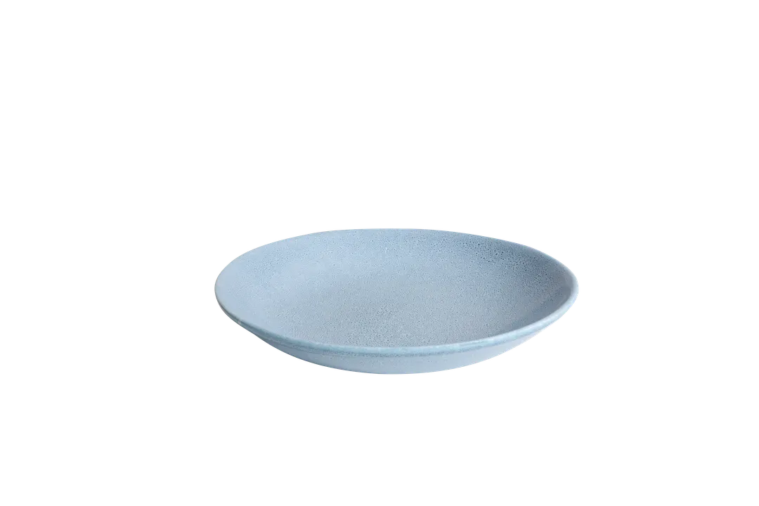 Ariane Porcelain AVCARND54012003 Coupe Round Plate, 11" (28 Cm), Casper Porcelain - 6/Case
