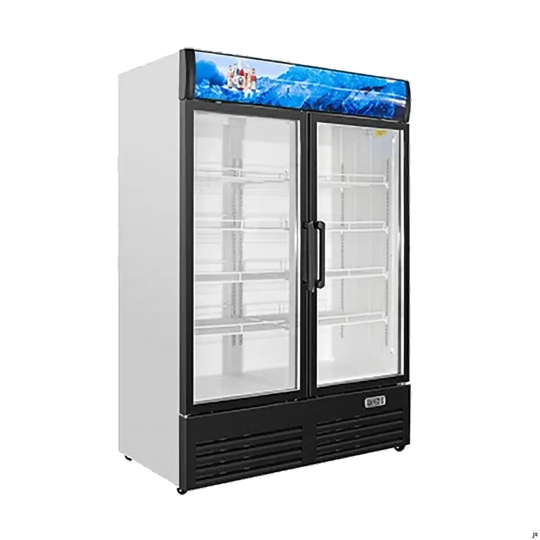 Vitlife Commercial VSC1088VCW 52" 2 Glass Door Merchandiser Refrigerator w/ Canopy, 35.3 cu. ft.