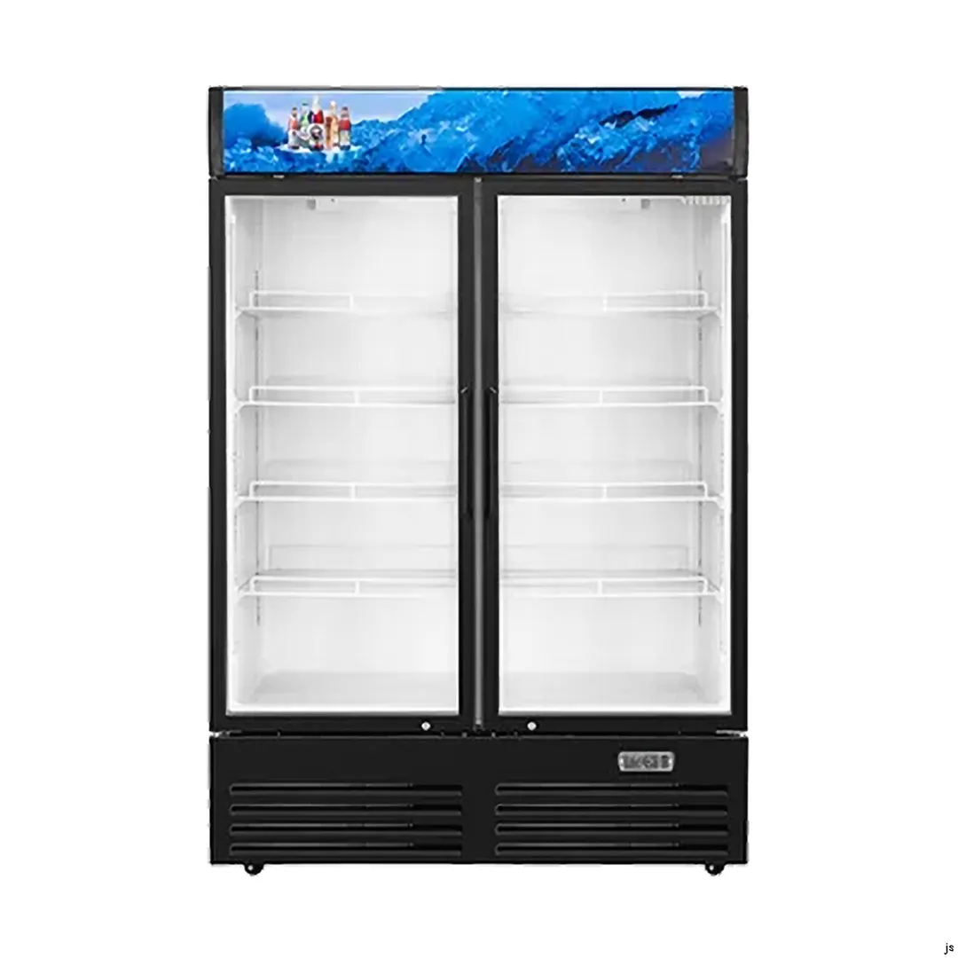 Vitlife Commercial VSC1088VCW 52" 2 Glass Door Merchandiser Refrigerator w/ Canopy, 35.3 cu. ft.