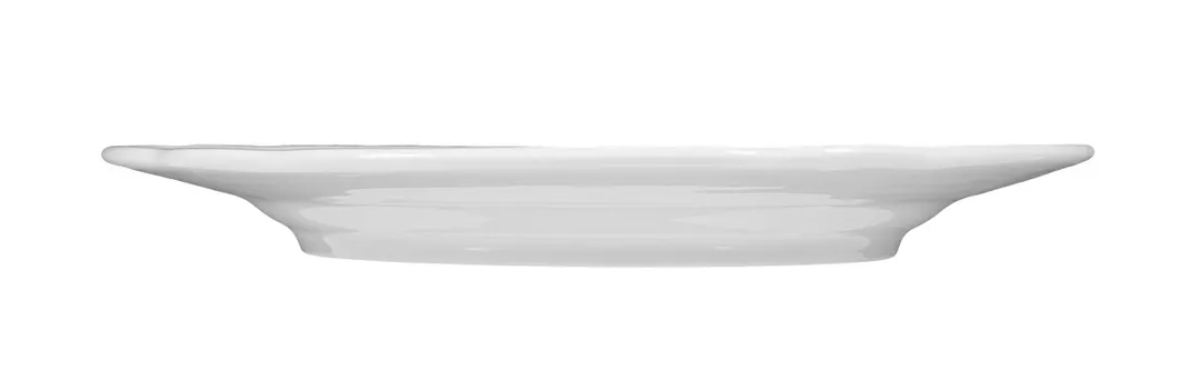 Seltmann 001-599434 China Plate – 6.69" Round Porcelain Plate Flat Edge Wide Rim Salzburg Style