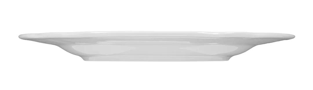 Seltmann 001-600047 - 8.27" Round Porcelain Dinner Plate, Flat Edge, Wide Rim, Salzburg Design