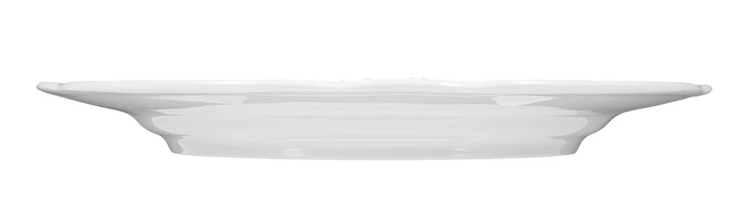 Seltmann 001-600365 - 9.9" Round Flat Edge Porcelain Dinner Plate, Wide Rim, Salzburg Design